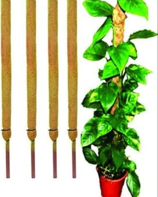 Creeper Sticks