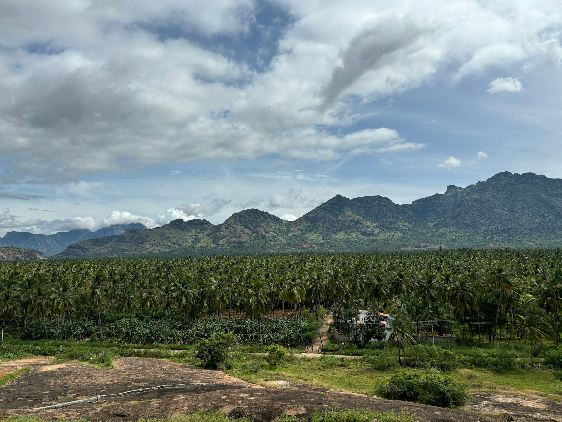 Africa